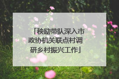 秧励带队深入市政协机关联点村调研乡村振兴工作